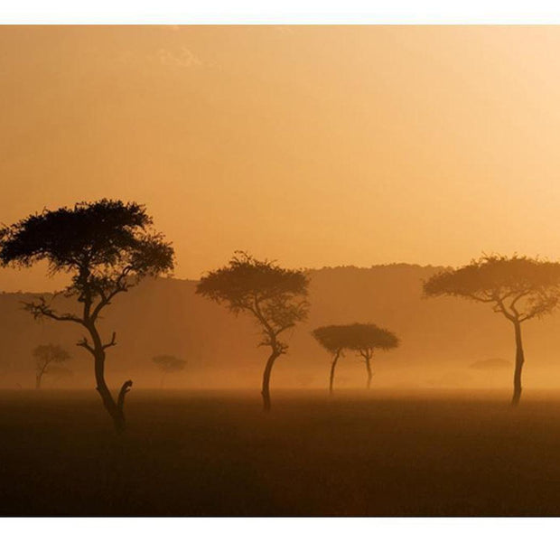 Landscape Wallpaper Wall Mural - Massai Mara