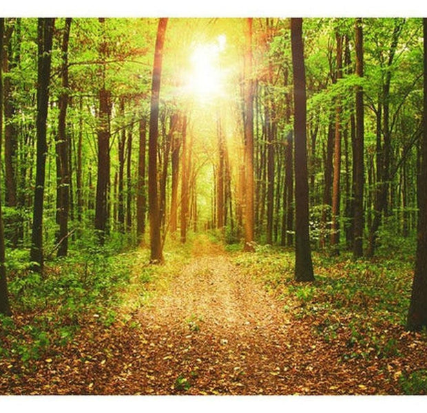 Landscape Wallpaper Wall Mural - Mirror Of Nature