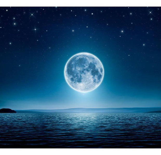 Landscape Wallpaper Wall Mural - Moonlit Night