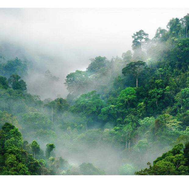 Landscape Wallpaper Wall Mural - Morning Fog