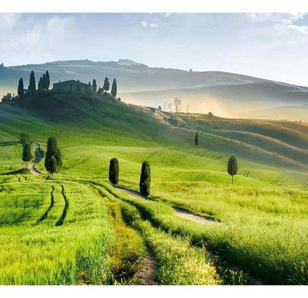Landscape Wallpaper Wall Mural - Morning In The Countryside
