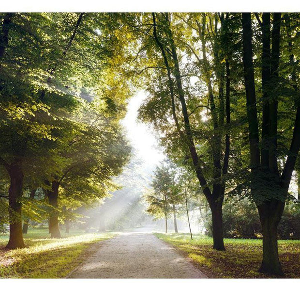 Landscape Wallpaper Wall Mural - Morning Walk