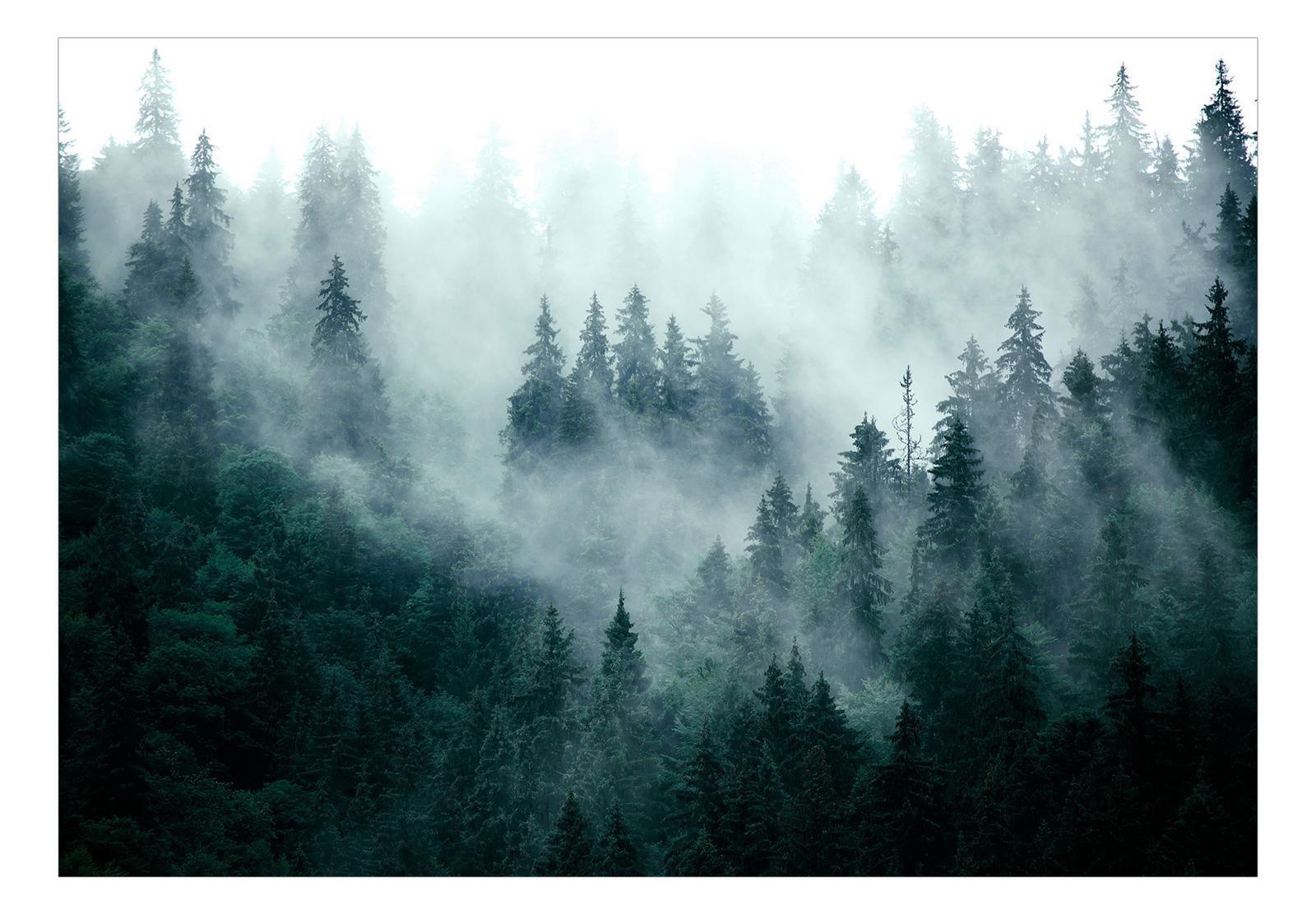 Landscape Wallpaper Wall Mural - Mountain Forest Dark Green