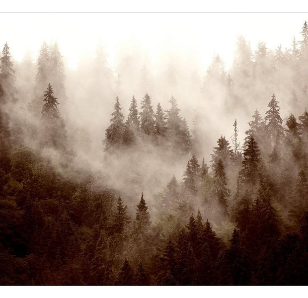 Landscape Wallpaper Wall Mural - Mountain Forest Sepia