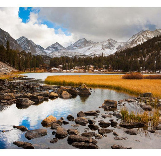 Landscape Wallpaper Wall Mural - Mountain Stream