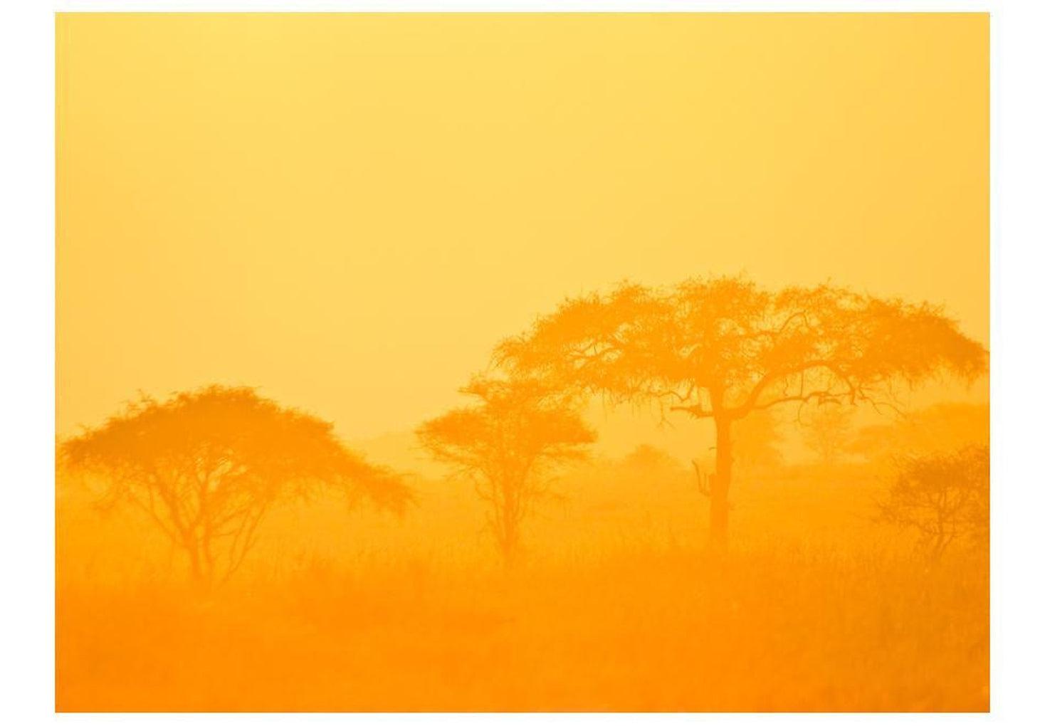 Landscape Wallpaper Wall Mural - Orange Savanna