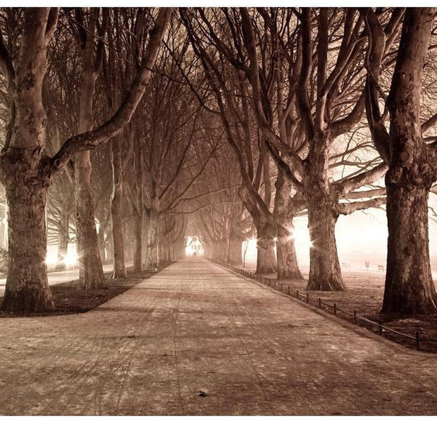 Landscape Wallpaper Wall Mural - Park Alley