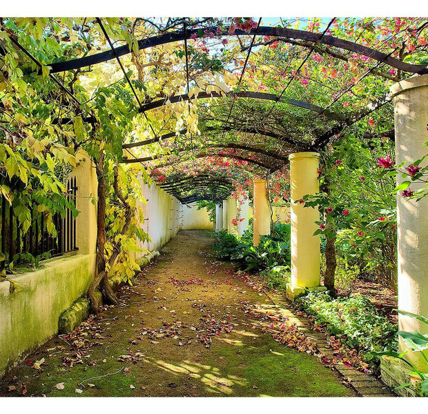 Landscape Wallpaper Wall Mural - Pergola