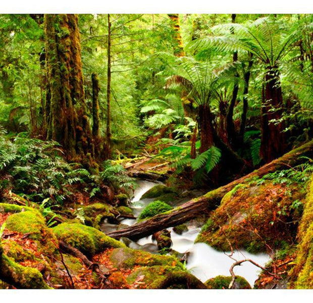 Landscape Wallpaper Wall Mural - Rainforest