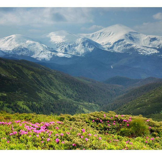 Landscape Wallpaper Wall Mural - Spring Mountain Landscape