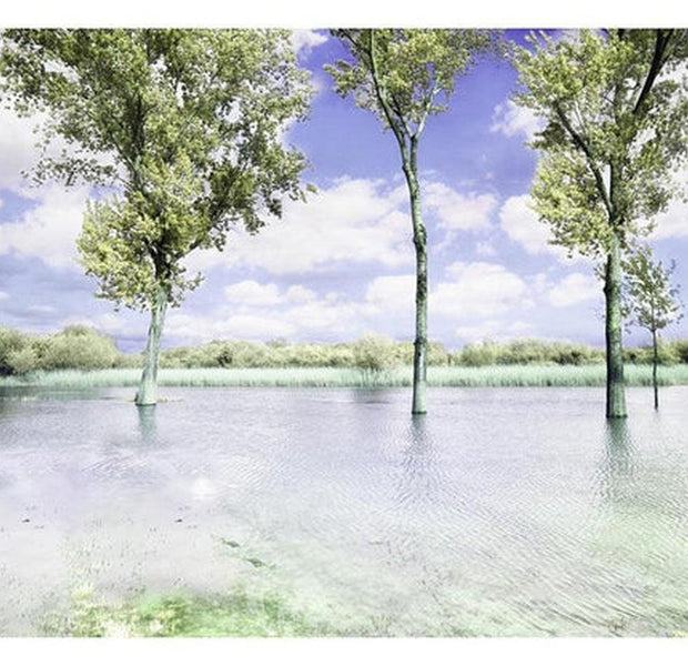 Landscape Wallpaper Wall Mural - Spring Scenery