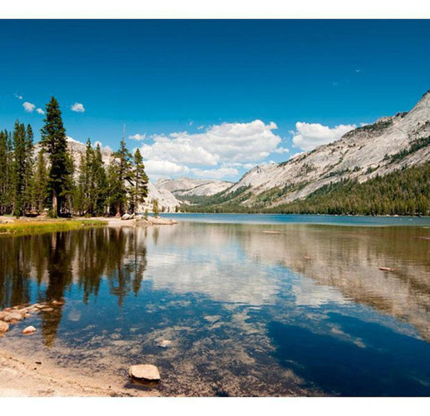 Landscape Wallpaper Wall Mural - Tenaya Lake - Yosemite National Park