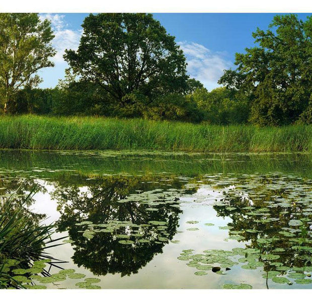 Landscape Wallpaper Wall Mural - The Magic Pond