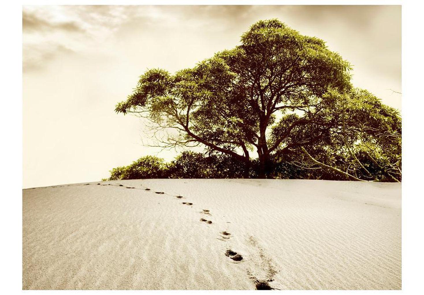 Landscape Wallpaper Wall Mural - Tree In The Desert