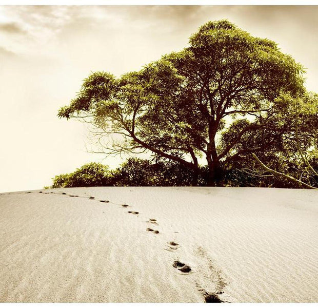 Landscape Wallpaper Wall Mural - Tree In The Desert