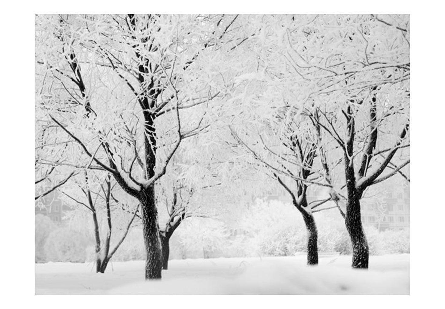 Landscape Wallpaper Wall Mural - Trees - Winter Landscape