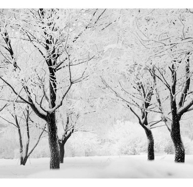 Landscape Wallpaper Wall Mural - Trees - Winter Landscape