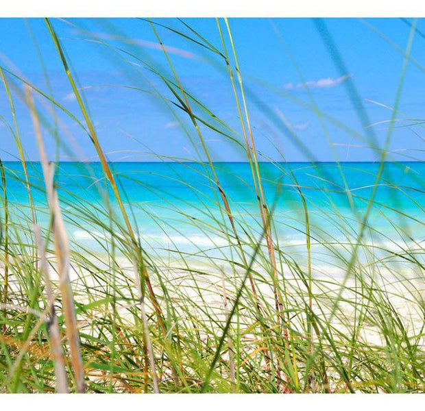 Landscape Wallpaper Wall Mural - Tropical Journey