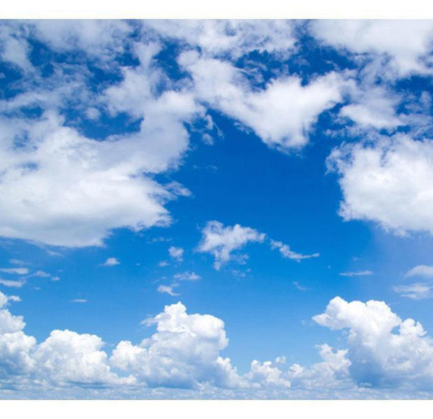 Landscape Wallpaper Wall Mural - Under The Sky