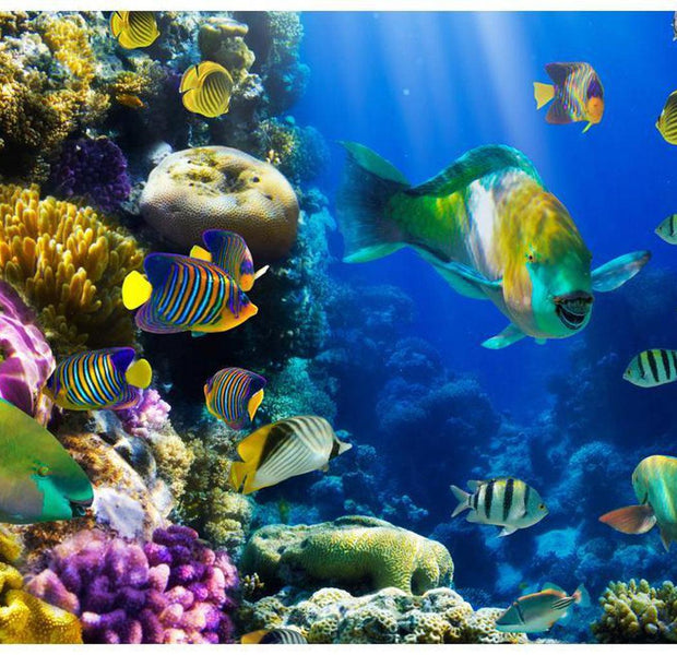Landscape Wallpaper Wall Mural - Underwater Paradise