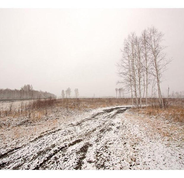 Landscape Wallpaper Wall Mural - Winter Field