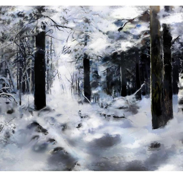 Landscape Wallpaper Wall Mural - Winter Forest