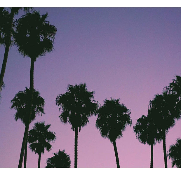 Peel & Stick Tropical Wall Mural - Purple Sunset