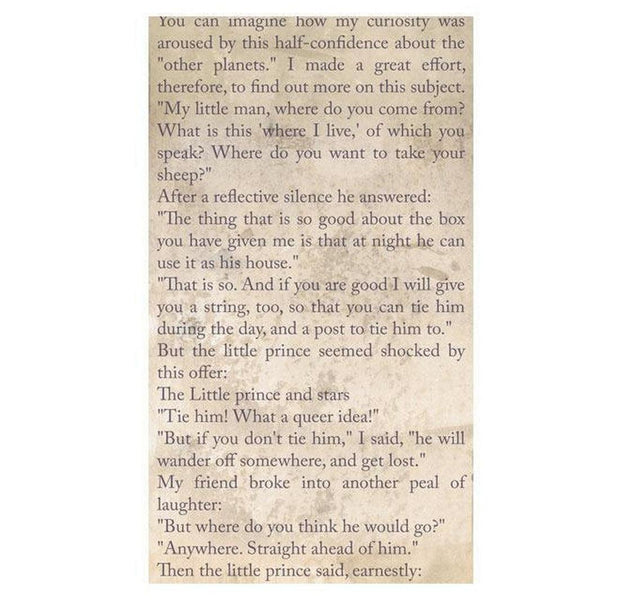 Repeating Wallpaper Roll - The Little Prince - Spiritual Journey - 32.8'L x 19.7"W