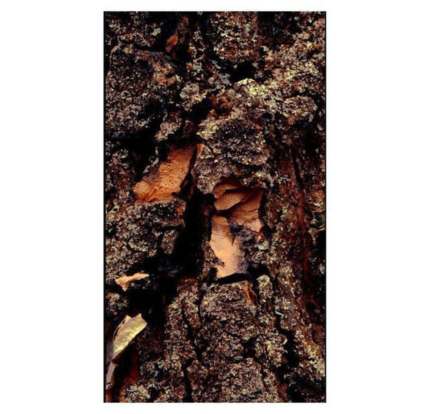 Repeating Wallpaper Roll - Time Carved In The Tree - 32.8'L x 19.7"W