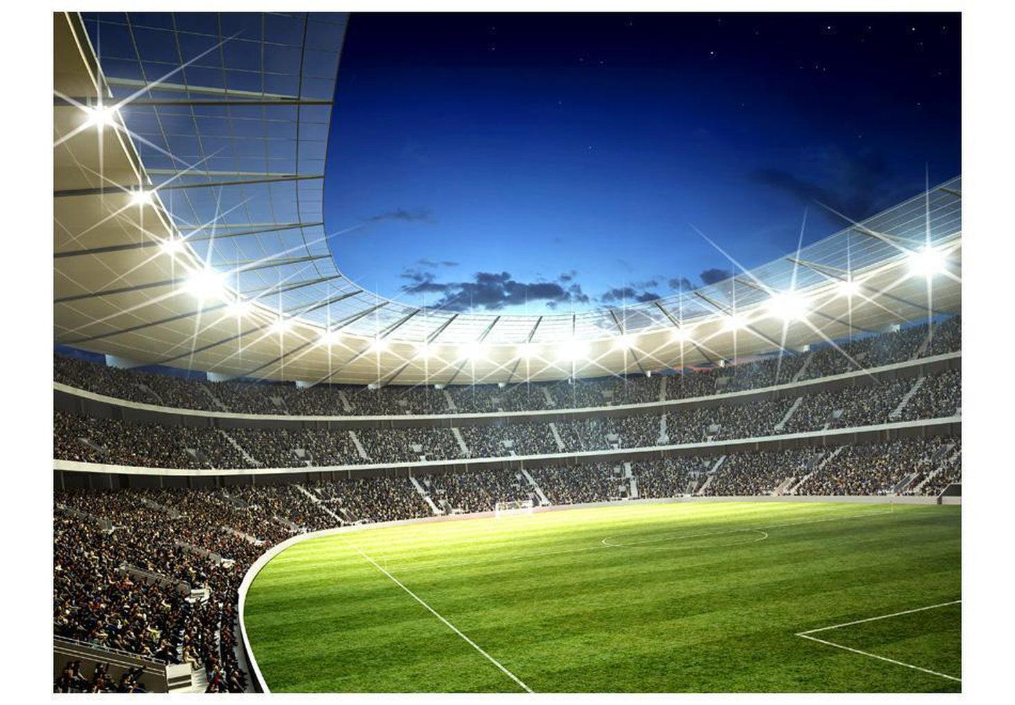 Sports Wallpaper Wall Mural - National Stadium