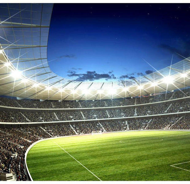 Sports Wallpaper Wall Mural - National Stadium