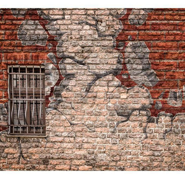 Street Art Wallpaper Wall Mural - Break The Wall