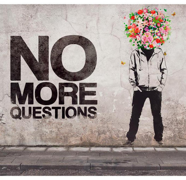 Street Art Wallpaper Wall Mural - No More Questions