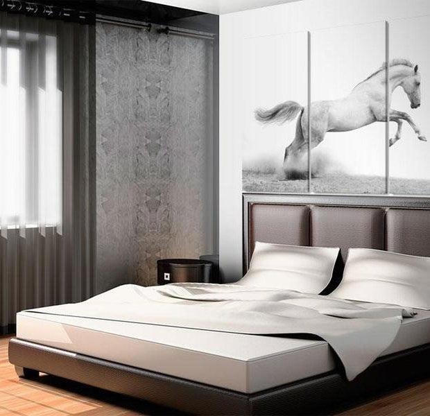 Stretched Canvas Animal Art - A Galloping Horse