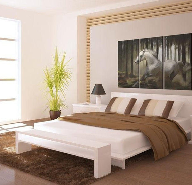 Stretched Canvas Animal Art - A White Horse In The Midst Of The Trees