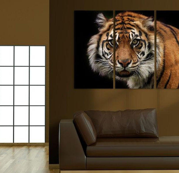 Stretched Canvas Animal Art - A Wild Tiger