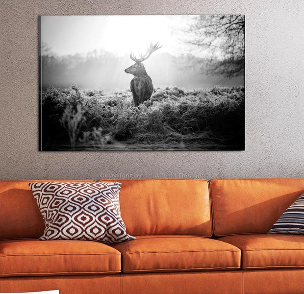 Stretched Canvas Animal Art - Black And White Deer