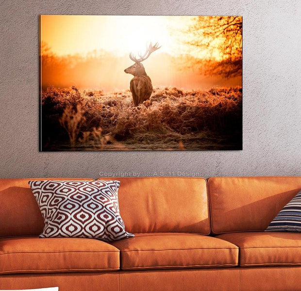Stretched Canvas Animal Art - Deer In The Sun