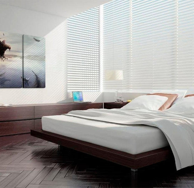 Stretched Canvas Animal Art - Eagle Above The Surface Of A Lake