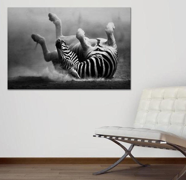 Stretched Canvas Animal Art - Fun In The Dust