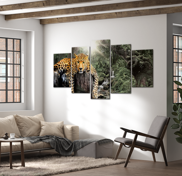 Animal Canvas Wall Art - Lazy Afternoon - 5 Pieces