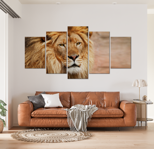 Animal Canvas Wall Art - Lion Close Up - 5 Pieces