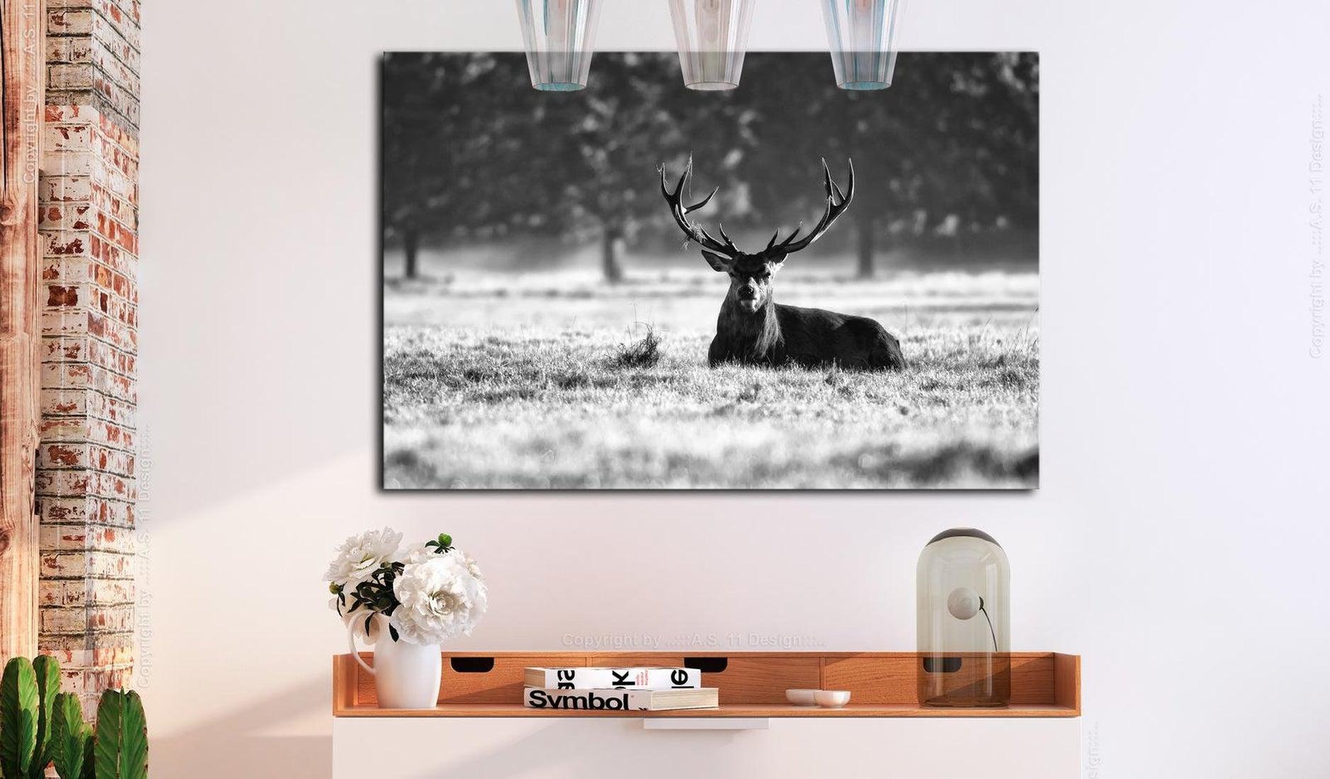 Stretched Canvas Animal Art - Lying Deer