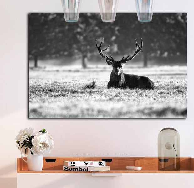Stretched Canvas Animal Art - Lying Deer