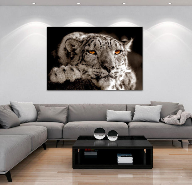 Stretched Canvas Animal Art - Magic Eyes Wide