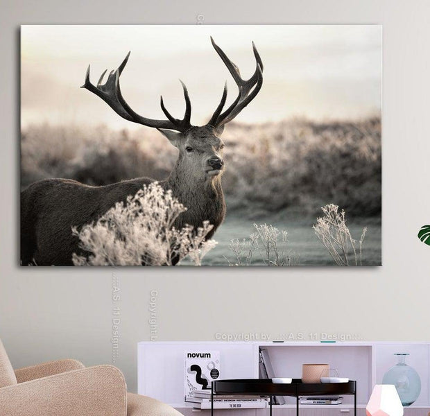 Stretched Canvas Animal Art - Powerful Horns