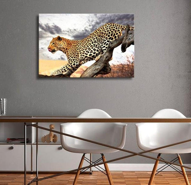 Stretched Canvas Animal Art - Predatory Stare