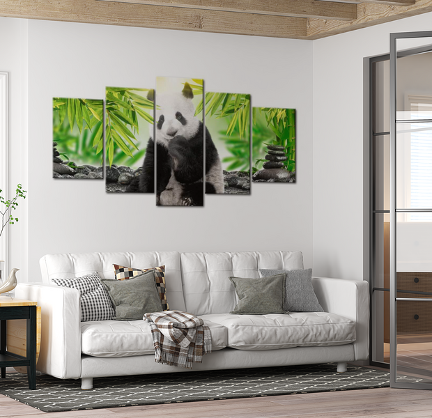 Animal Canvas Wall Art - Sweet Little Panda - 5 Pieces