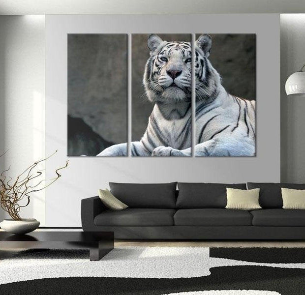 Stretched Canvas Animal Art - White Tiger