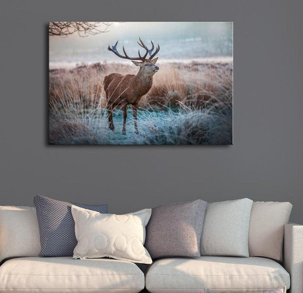 Stretched Canvas Animal Art - Wild Animal